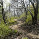 [광양] 마로산성 (馬老山城) 이미지