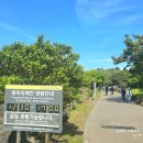 안덕면 용머리 공영주차장 입구 이미지