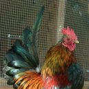 일헌농원 이미지