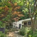 네이처독 | 경기도 양주 중형견 애견운동장 네이처독 첫 방문 후기