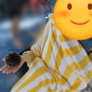 대왕약품 | 미국 하와이 터틀 스노클링 후기 (거북이와 스노클링 및 해양 액티비티 5종)