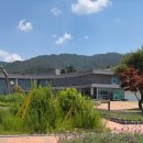 [남원 가볼만한곳] 생각보다 넓었던 남원 허브밸리 방문후기🌿