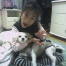 석전동273 이미지