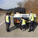 충남청과 이미지