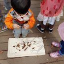 삼흥유치원 이미지