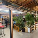 시골산장옆 | 내돈내산 김포 고촌 어르신들이 좋아하실만한 숨겨진 한식 가성비맛집 정수산장 방문후기