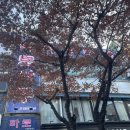 타로로 읽는 하루 | 부평 타로 · 사주 동시에! 인천타로사주에서 본 나의 운세 리뷰