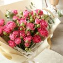 디자인데이지 이미지