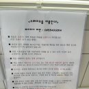 스테이소솜