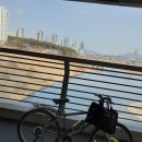 청주 장항 구간 금강 200km 자전거 라이딩 후기