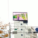 대구광역시 중구정신건강복지센터 네이버블로그