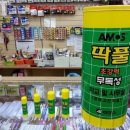 딱풀 Daum카페