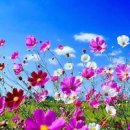 앞산요양병원 이미지