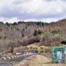 김순효자문 이미지