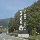 무릉도원면-25 이미지