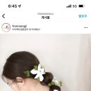 짝꿍헤어 이미지