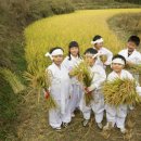 농업회사법인 주식회사 꿈의마을 이미지