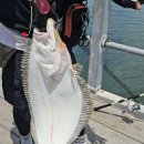 덕진호 좌대낚시터 이미지