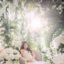 더 피움 이미지