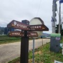 용장리 느티나무 이미지