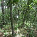 황우목장 이미지