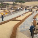 울산하늘공원 이미지