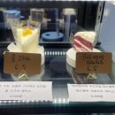 카페더담