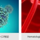 문평서로신일서로 이미지