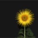 수원-0827 이미지