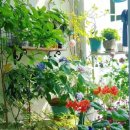 카페정원 이미지