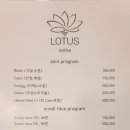 로터스에스테틱