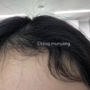 슈가링당진점