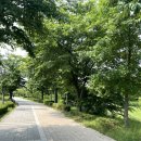 성호공원(3구역) 게이트볼장 옆 화장실 | 수원 러닝하기 좋은 마중공원 물놀이터 반려견 놀이터 가족나들이 피크닉하기