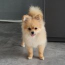 베테랑P&K 이미지