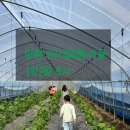 절구와 떡메 | 양평외갓집 체험 아이랑1박2일 촌캉스 아이랑 여행 추천 내돈내산 정말 외갓집 같을까?(프로그램 후기)