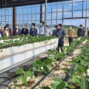 정광호농장 이미지