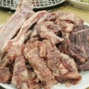 화끈한갈매기 이미지