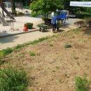 경기도 양평군 정배초등학교 이미지