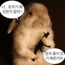늘벗서점 네이버블로그