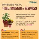 화사랑 세계로컬신문
