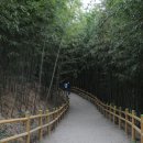 죽림원 이미지