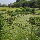 6월 24일(화) 장자호수공원, 구리한강시민공원 이미지