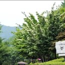 봉학골산림욕장 이미지