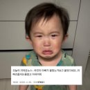 트윈스동물병원 | 네가 아흔 다섯살에 저 모습이면 우리 여기 오자, 같이