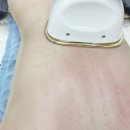 벨르 스킨앤바디 이미지