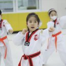 대망태권도 이미지