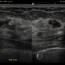 대일유외과의원 이미지