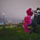 서울라이트 한강불빛축제 이미지