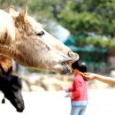 김선규농장 이미지