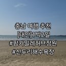 어썸칸 | 국내여행 충남 태안 1박2일 여행 추천 팜카밀레허브정원 신두리해수욕장 어썸칸